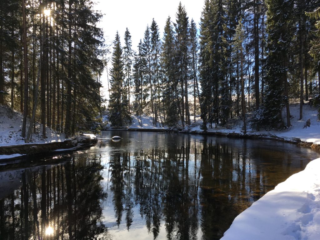 Hiitolanjoki järvilohikanta